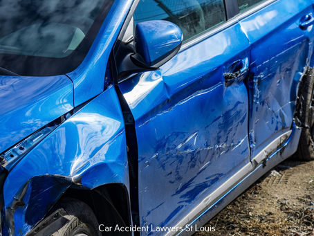 Saint Louis Zoo: Where Conservation Meets Education in a Natural Haven