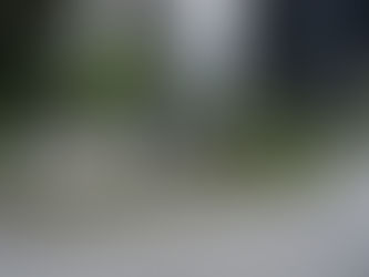 Irving, Texas: A Dynamic City with Rich History and Vibrant Culture