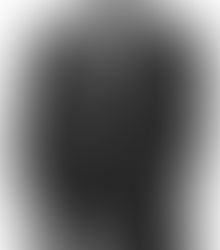 California State Capitol Park: A Historic Oasis in Sacramento, CA