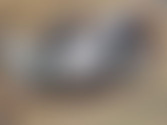 City Museum St. Louis: An Urban Wonderland Awaits!