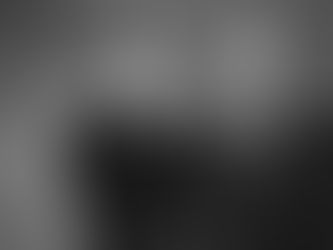 Exploring Wildlife Wonders at Sacramento Zoo