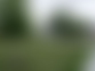 Garland, TX: A Charming City in the Heart of Texas