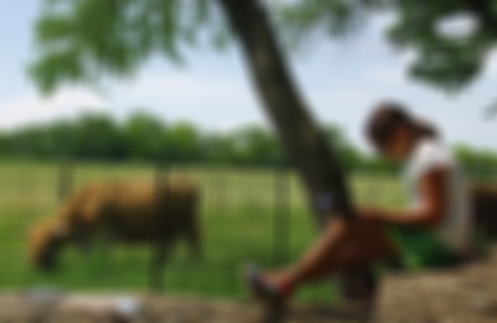 Nature's Farm Camp