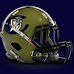 helmet logo.jpg