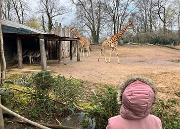 WhatsApp Image 2025-10-24 at 16.27.15.jpeg