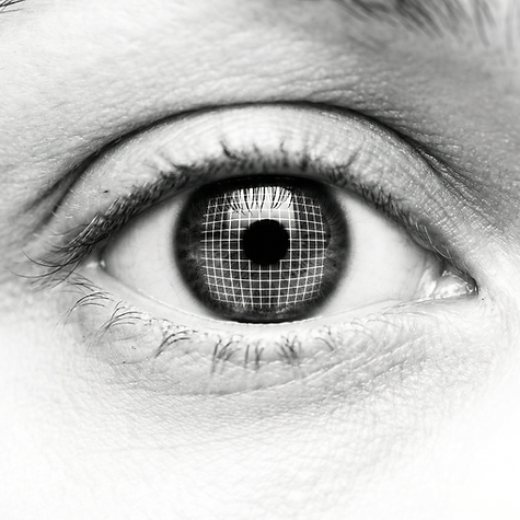 Auge mit digitalem Netz