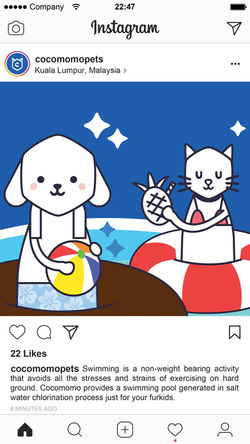 SOCIAL MEDIA (INSTAGRAM) 2