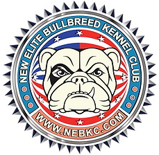 NEBKC+LOGO+BULL.png