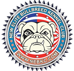 NEBKC+LOGO+BULL.png