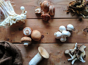 Mushroom 101: The Ultimate Guide on How to Select, Store, Clean & Cook The Best Mushroom Varieties