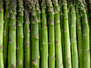 Cooking with Asparagus: Health Benefits, Foraging and 20 Ways to Use Asparagus In Cooking