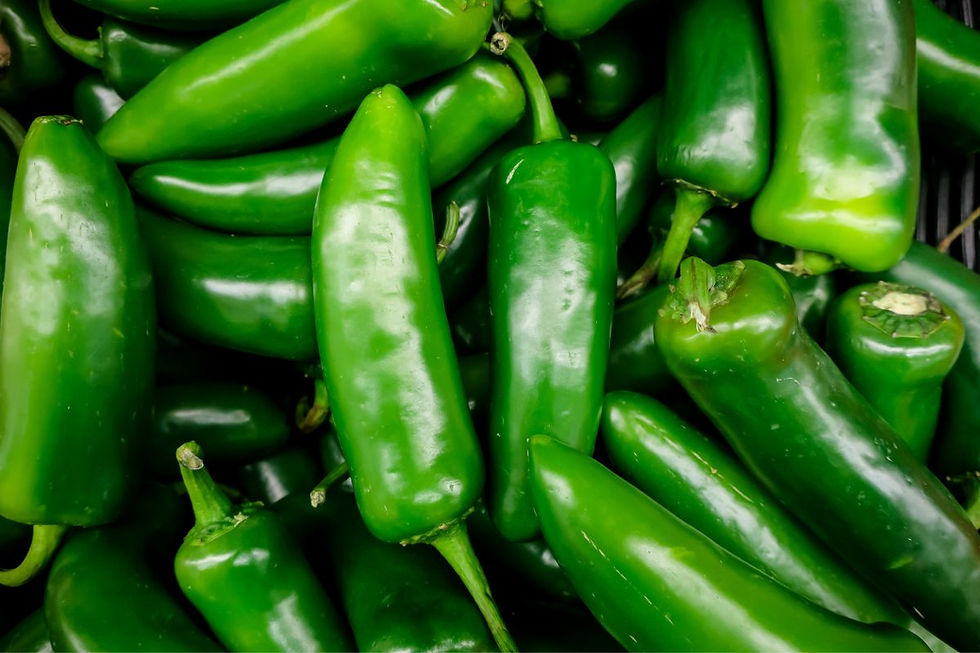 Jalapeno Peppers