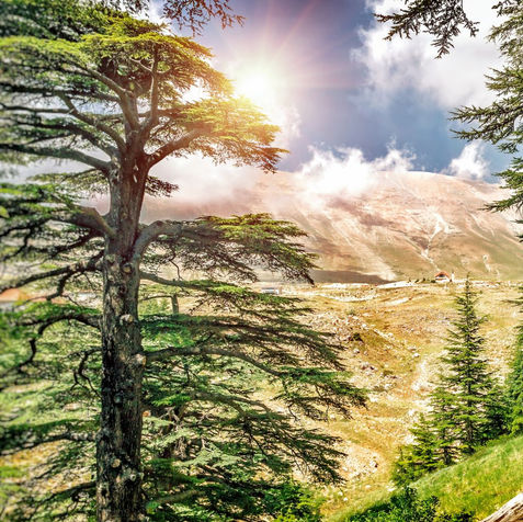 Photos from Lebanon