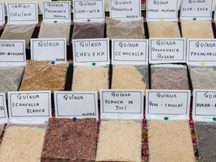 Quinoa: Health Benefits, History, and 20 Easy Ways to Use It In Cooking