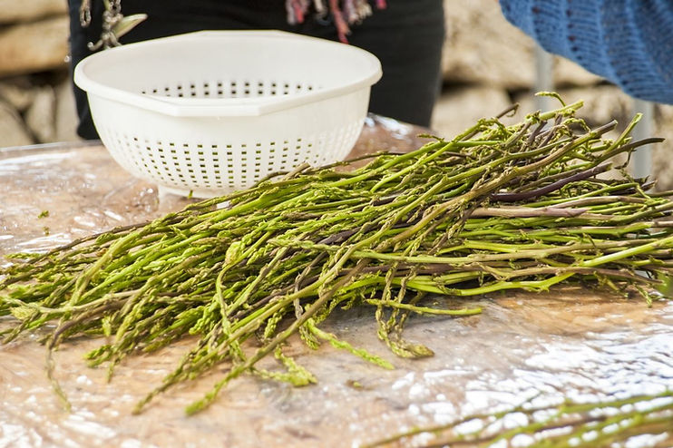 how much glutathione in asparagus 11 Whole Foods to Support GLUTATHIONE — Functional Health Research +  Resources — Made Whole Nutrition main image 1