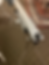 ree
