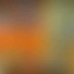 Crypto Security: A Guide to Ponzinomics to Recognize and Prevent Loses. 