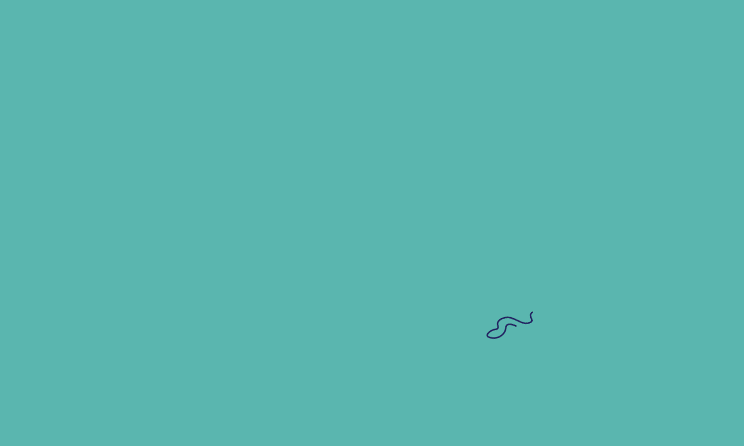 Blackbird-animation-FINAL.gif