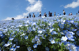 Chiba.jpg
