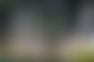 Shiraito Falls, Born from Mount Fuji