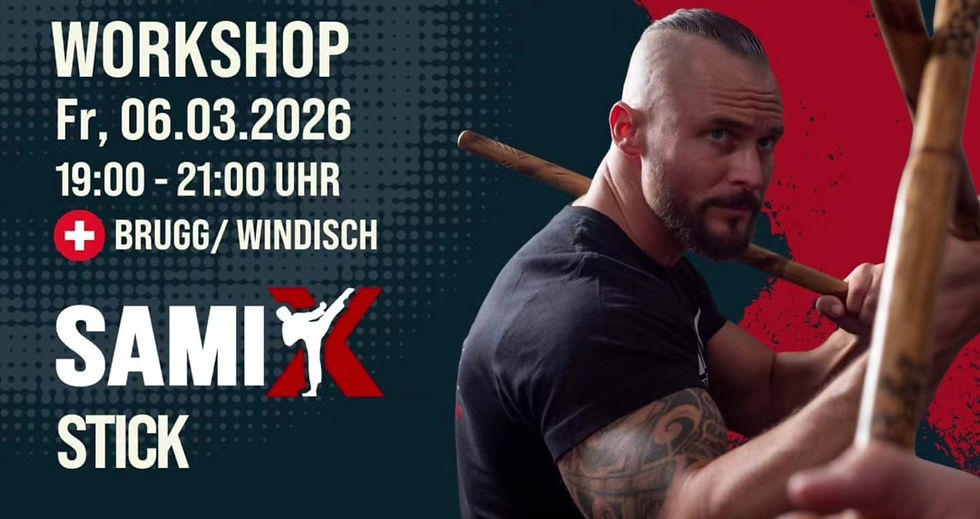Krav Maga workshop in Brugg