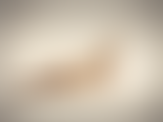 Professional Bookkeeping Services for Business Growth