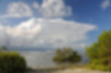 Florida SEE Webinar: What’s That Smell? Smells of the Coast, and the Science Behind Them