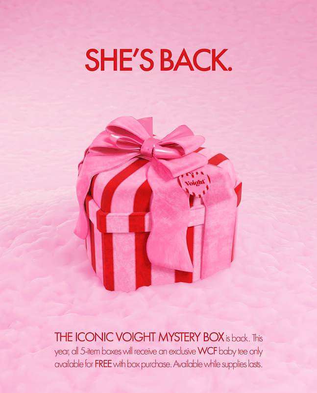 MysteryBox-Promo copy.png