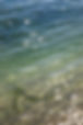 CapetownConstance_Insta2.jpg