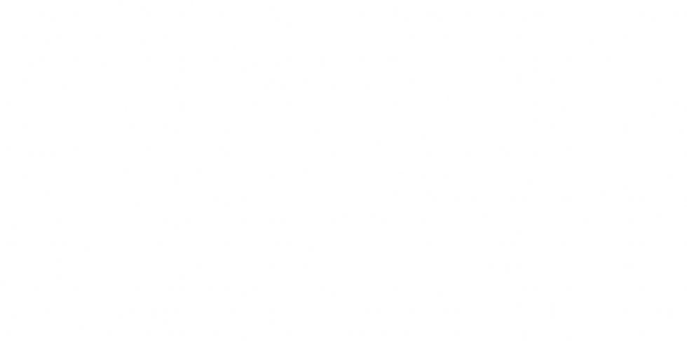 23-Trydent-White Pattern_edited_edited.png