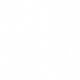 23-Trydent-White Pattern.png
