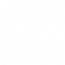 23-Trydent-White Pattern.png