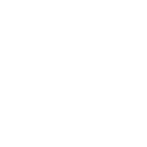 23-Trydent-White Pattern.png