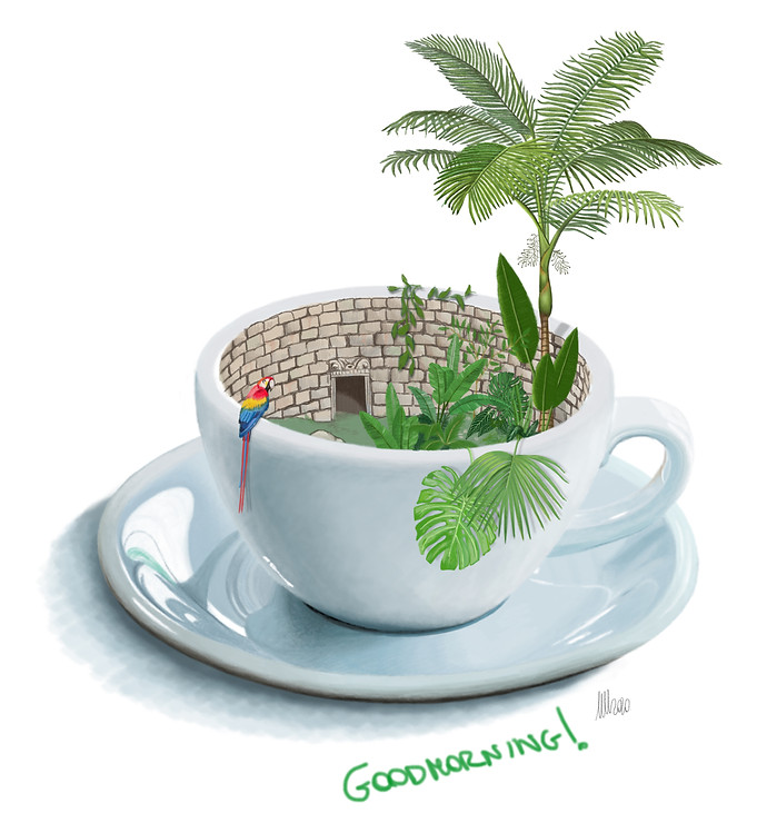 25 August 2020 - Forest.jpg