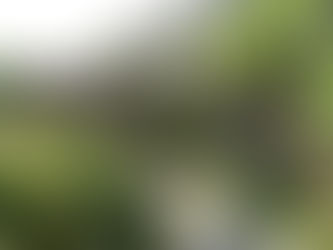 Curiosité à Laroque de Fa