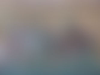 Basilique Saint-Apollinaire-le-Neuf