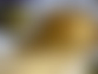 Le trésor monétaire de Trèves