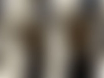 L'aile Longueville de Châteaudun