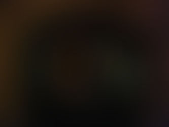 L'Horreum de Narbonne