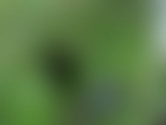 La Roche Romaine en Auvergne.