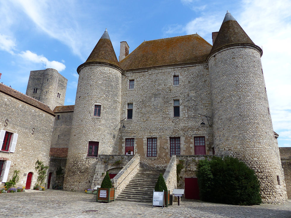 chateau de nemours