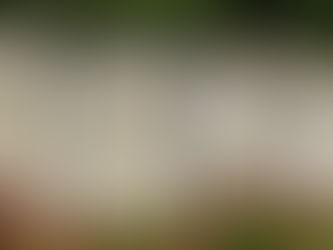 Site Archéologique de Puymin à Vaison-la-Romaine