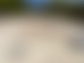 Phaistos, néolithique et prépalatiale