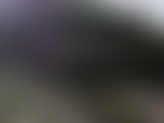 L'art rupestre en Ile de France, 50 nuances de grès