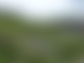 Le théatre antique de Lillebonne