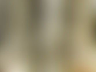 Basilique Notre-Dame de l'Epine