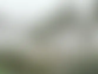 Tropical Storm Imelda Hits Texas