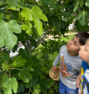 Niños en contacto con la naturaleza