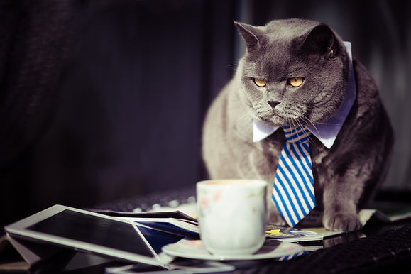 Ransomware: Because Organizations Aren't Cats