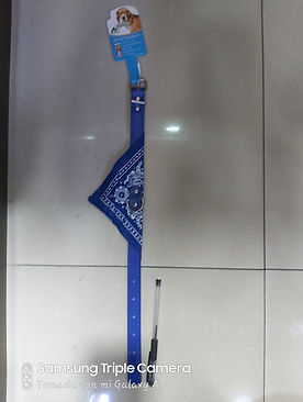 5784-3.jpg